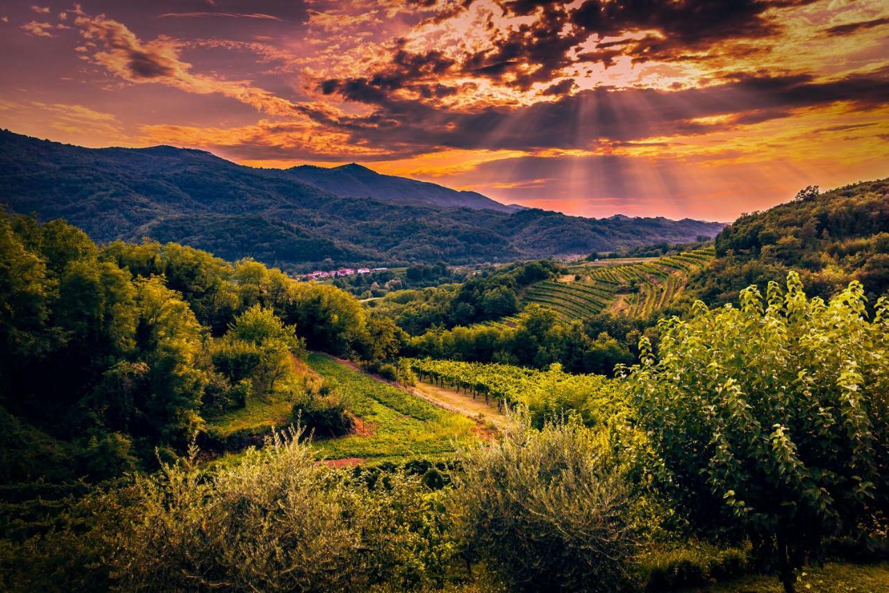 Cebron Family Estate Hotel Branik Екстериор снимка